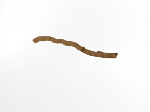 wooden stick branch staff low poly game ready asset low-poly 3D मॉडल