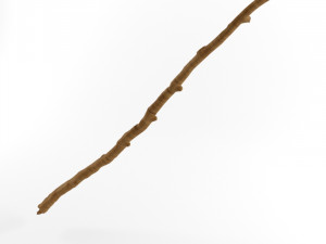 wooden stick branch staff low poly game ready asset low-poly 3D मॉडल