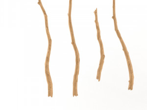 wooden stick branch bat rod collection game asset ready low poly low-poly 3D Model