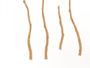 wooden stick branch bat rod collection game asset ready low poly low-poly 3D Model