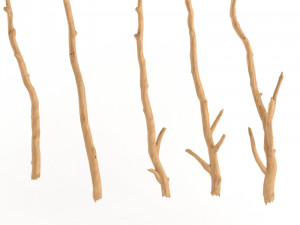 wooden stick branch bat rod collection game asset ready low poly low-poly 3D Model