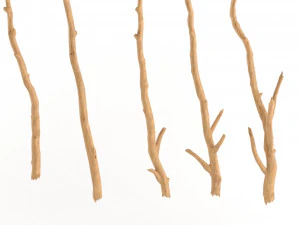 wooden stick branch bat rod collection game asset ready low poly low-poly 3D Model