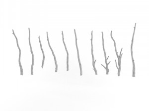 wooden stick branch bat rod collection game asset ready low poly low-poly 3D Model
