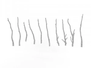 wooden stick branch bat rod collection game asset ready low poly low-poly 3D Model
