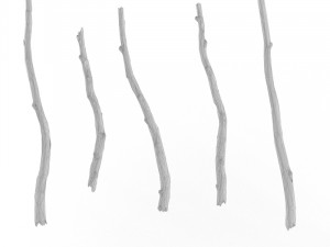 wooden stick branch bat rod collection game asset ready low poly low-poly 3D Model