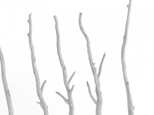 wooden stick branch bat rod collection game asset ready low poly low-poly 3D Model