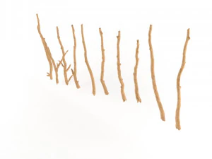 wooden stick branch bat rod collection game asset ready low poly low-poly 3D Model
