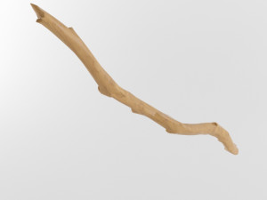 wooden stick branch staff low poly game ready asset low-poly 3D 모델