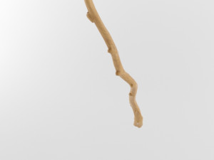 wooden stick branch staff low poly game ready asset low-poly Modello 3D