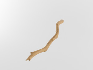 wooden stick branch staff low poly game ready asset low-poly Modello 3D