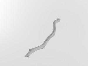 wooden stick branch staff low poly game ready asset low-poly Modello 3D