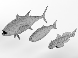 low poly fish and tuna set animal lowpoly low-poly  3D Model