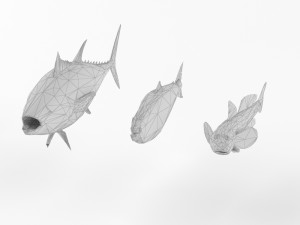 low poly fish and tuna set animal lowpoly low-poly 3D Model