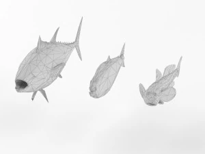 low poly fish and tuna set animal lowpoly low-poly 3D Model
