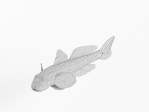low poly fish and tuna set animal lowpoly low-poly 3D Model