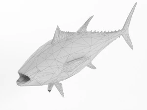 low poly fish and tuna set animal lowpoly low-poly 3D Model
