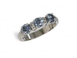 Ring alliance 3D Model