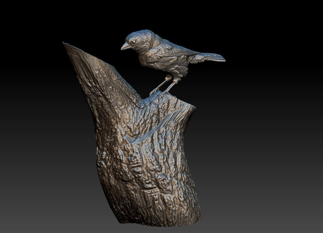 3d sparrow