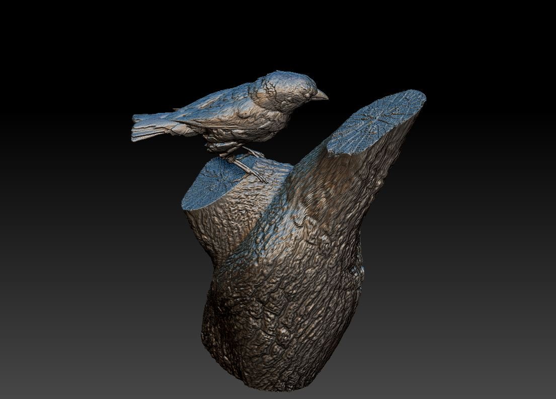 3d sparrow