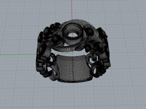 Carved ring 3D 모델