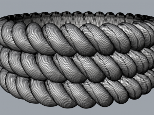 Threeropes ring Modèle 3D