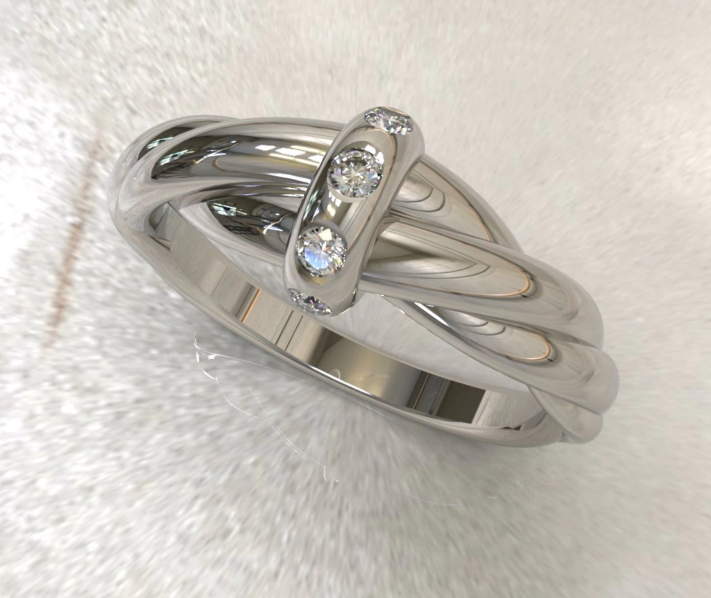 Twisted ring 3D Model .c4d .max .obj .3ds .fbx .stl .blend 