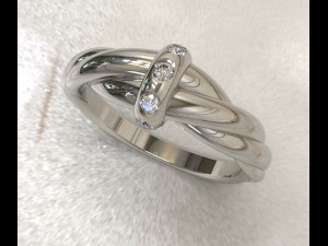 Twisted ring 3D Model
