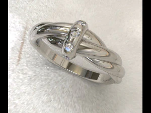 Verdrehter Ring 3D Modell