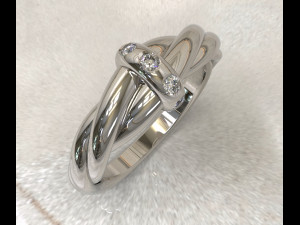 Twisted ring Model 3D