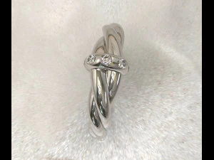 Twisted ring 3D Model