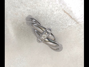 Twisted ring Model 3D