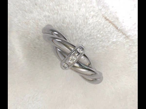 Twisted ring 3D Model