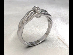 Twisted ring 3D Model