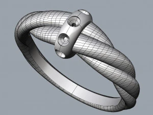 Twisted ring 3D Model