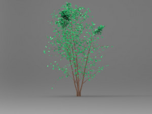 nurbs low poly tree 3D 모델