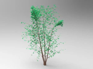 nurbs low poly tree 3D Model