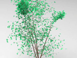 nurbs low poly tree 3D Model