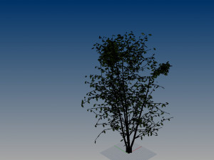 nurbs low poly tree 3D मॉडल