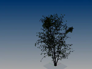 nurbs low poly tree 3D Model