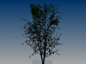 nurbs low poly tree 3D मॉडल
