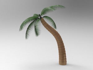 nurbs palm tree 3D 모델