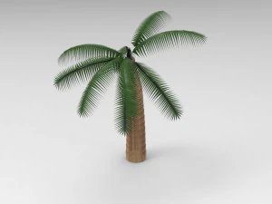 nurbs palm tree 3D Model