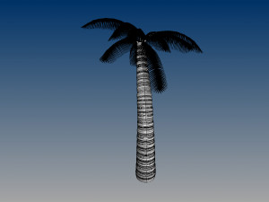 nurbs palm tree 3D 모델