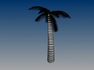 nurbs palm tree 3D Model