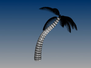 nurbs palm tree 3D 모델