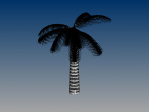 nurbs palm tree 3D 모델