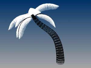 nurbs palm tree 3D 모델