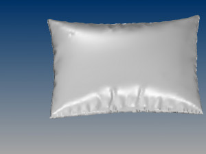 nurbs pillow 3D 모델