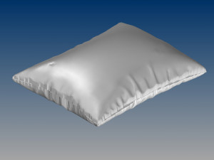 nurbs pillow 3D 모델