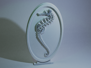 hippocampus Modelo 3D